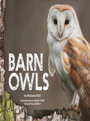 cover image of Barn Owls